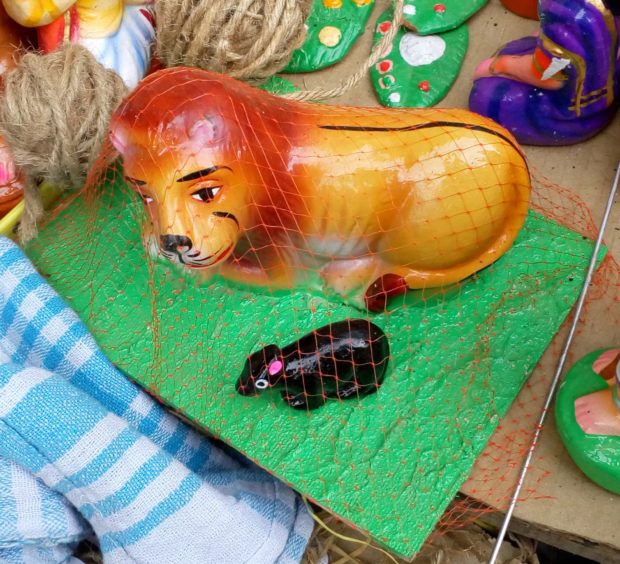 mylapore lion and the mouse