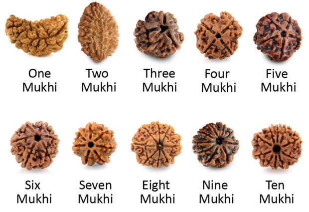 Rudraksha-One-Mukhi-Ten-Mukhi