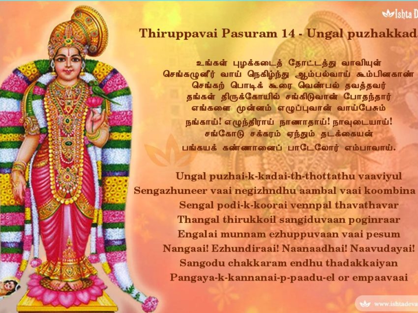 Thiruppavai pasuram 14 – Ungal puzhai-k-kadai-th