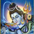 Shiva poison