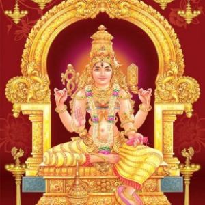 Bagalamukhi – The Goddess Who Paralyses Enemies