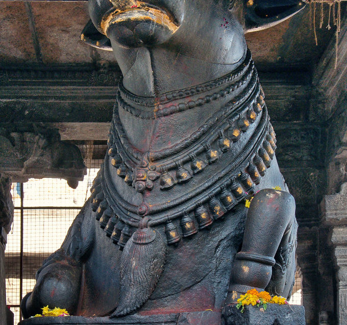 How is Nandi at Arunachaleswarar temple different from the other temple Nandis?