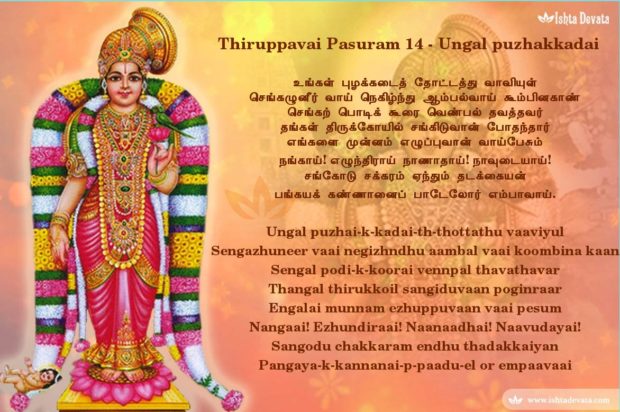Thiruppavai_14
