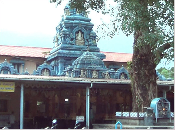 Anegudde Shree Vinayaka Temple