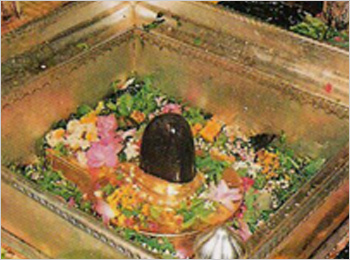 Kashi Vishwanath Jyotirlinga Temple