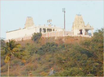 Sri Neervannaperumal Temple
