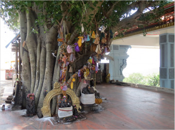 Arulmigu Subramanya Swami Temple