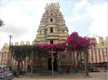 sri navaneetha krishnan temple