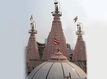 Adishakti Devi Temple