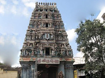 Sri Venugopala Krishnaswamy Temple