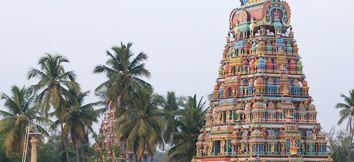 Avinashilingeswarar Temple    Avinashiappar temple