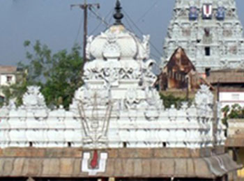 Arulmigu Parthasarathy Swamy Temple