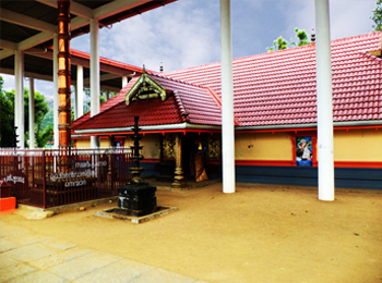 Sri Nellikulangara Bhagavathi Temple