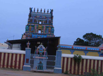Sri Van Purushothaman Temple