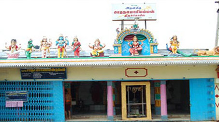 Saratha Mariamman Temple Latcharchanai