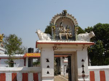 Malleeswarar Temple
