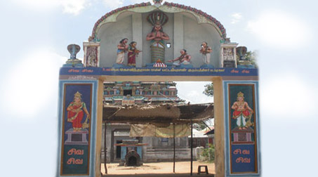 Thiruppampuram Seshapureeswarar Raahu Kethu Peyarchi Festival