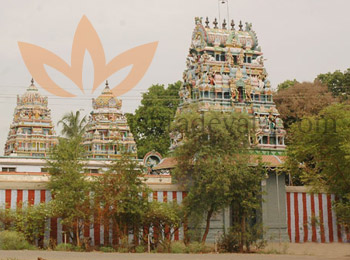 Amarapaneeshwarar Temple