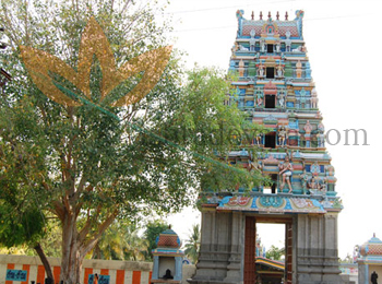 Sri Kalyana Vigirtheeswarar Temple