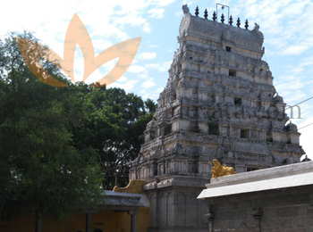 Sivalokanathar Temple