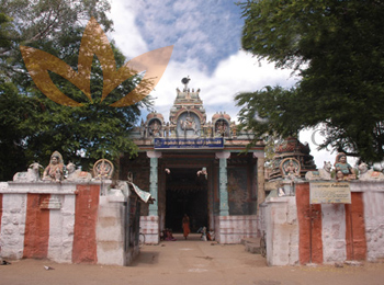 Arulmigu Thiruvappudaiyar Thirukoil