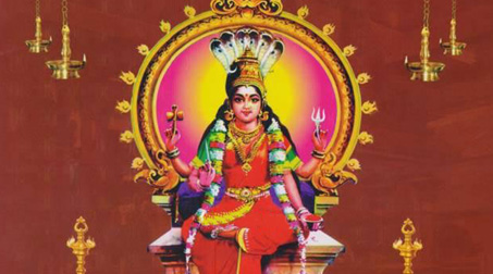 Thiruverkadu Devi Karumariamman Temple Aadi Festival and Other Festivals