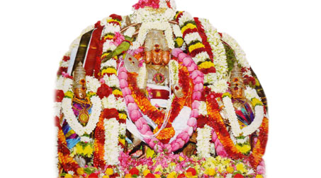 Palani Murugan Temple Thirukarthigai Festival