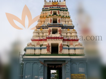 Sri Amaralingeswara Swamy Temple